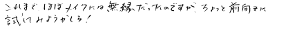 これまでほぼメイクには無縁だったのですが、ちょっと前向きにためしてみようかしら。